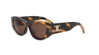 CELINE Triomphe CL40308U 53E 55-18 Tartaruga