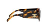 CELINE Triomphe CL40308U 53E 55-18 Tartaruga