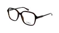 Chloé CH0313O 002 54-16 Tartaruga