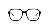 Chloé CH0313O 002 54-16 Tortoise