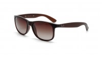 Ray-Ban Andy RB4202 6073/13 55-17 Brun