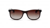 Ray-Ban Andy RB4202 6073/13 55-17 Brun