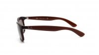 Ray-Ban Andy RB4202 6073/13 55-17 Brun