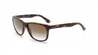 Ray-Ban RB4181 710/51 57 Tortoise Large Gradient