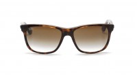 Ray-Ban RB4181 710/51 57 Tortoise Large Gradient