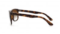 Ray-Ban RB4181 710/51 57 Écaille Large Dégradés