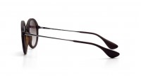 Ray-Ban RB4222 865/13 50-21 Tartaruga