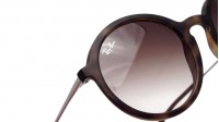 Ray-Ban RB4222 865/13 50-21 Écaille Medium Dégradés