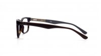 Ray-Ban The timeless RXRB5228 RBRB5228 RX5228 5545 50-17 Tartaruga
