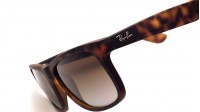 Ray-Ban Justin RB4165 865/T5 54-16 Marrone