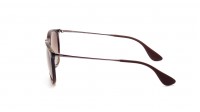Ray-Ban Erika RB4171 710/T5 54-18 Marrone