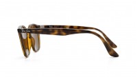 Ray-Ban Shiny havana Tortoise RB4258 710/73 50-20 Mittel