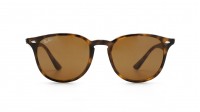 Ray-Ban Shiny havana Havana RB4259 710/73 51-20 Mittel