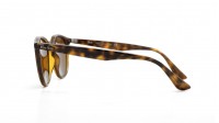Ray-Ban RB4259 710/73 51-20 Tortoise Medium