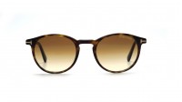 Tom Ford Andrea Écaille FT0539 52F 48-20 Small Dégradés