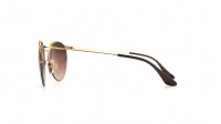 Ray-Ban RB3578 900913 50-22 Brun