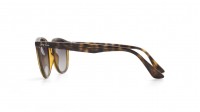 Ray-Ban RB4259 710/11 51-20 Tortoise Medium Gradient