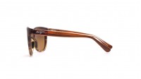Maui Jim Starfish Brown HCL Bronze HS744 01T 56-15 Medium Polarized Gradient