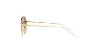 Ray-Ban RB3589 9055/13 55-18 Brun