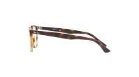 Ray-Ban RX7159 RB7159 2012 50-20 Tartaruga