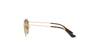 Ray-Ban RJ9547S 223/71 44-19 Or