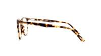 Tom Ford FT5506V 055 52-20 Tartaruga