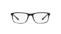 Emporio Armani EA3098 5566 53-18 Grigio