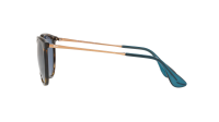 Ray-Ban Erika RB4171 6390/80 54-18 Écaille