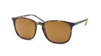 Ray-Ban RB4387 710/73 56-18 Écaille Large
