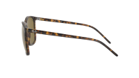 Ray-Ban RB4387 710/73 56-18 Écaille