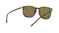 Ray-Ban RB4387 710/73 56-18 Écaille Large