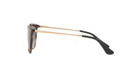 Ray-Ban Erika RJ9060S 7049/11 50-15 Écaille