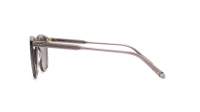 Garrett Leight Brooks 2002 GCR/SFPG15 47-22 Grigio