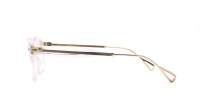 Moscot Lemtosh LEMTOSH 46 CRYSTAL/GOLD DEM. Transparent