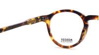 Moscot Miltzen MILTZEN 46 CLASSIC HAVANA DEM. Tartaruga