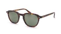 Moscot Billik BILLIK SUN 50 TORTOISE G15 Écaille