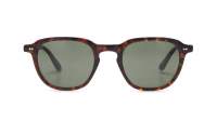 Moscot Billik BILLIK SUN 50 TORTOISE G15 Tartaruga