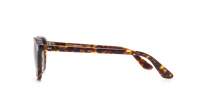 Moscot Billik BILLIK SUN 50 TORTOISE G15 Tartaruga