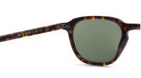 Moscot Billik BILLIK SUN 50 TORTOISE G15 Tartaruga