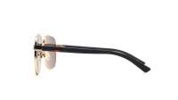 Gucci GG0422S 003 60-17 Or