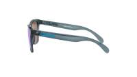 Oakley Frogskins OO9013 F6 55-17 Siva