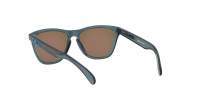 Oakley Frogskins OO9013 F6 55-17 Siva