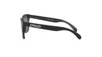 Oakley Frogskins OO9013 F7 55-17 Crna