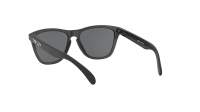 Oakley Frogskins OO9013 F7 55-17 Crna