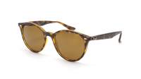 Ray-Ban RB4305 710/83 53-19 Schale Medium Polarisierte