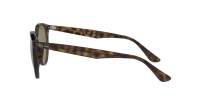 Ray-Ban RB4305 710/73 53-19 Tortoise Medium