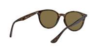 Ray-Ban RB4305 710/73 53-19 Écaille Medium
