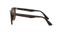 Ray-Ban Wayfarer Ii RB2185 902/57 55-18 Écaille