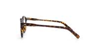 Moscot Miltzen MILTZEN 46 TORTOISE DEM. Tartaruga