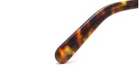 Moscot Miltzen MILTZEN 46 TORTOISE DEM. Tartaruga